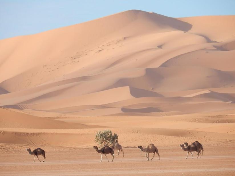Auberge Sahara Garden Lac Yasmins Luaran gambar